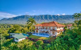 El Castillo Luxury Boutique Hotel- (Adults Only)